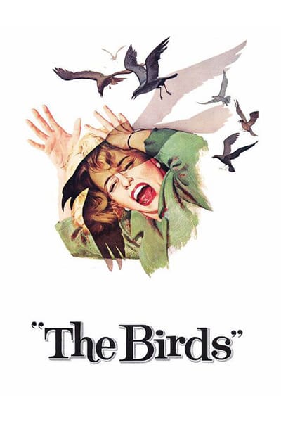 ดูหนังออนไลน์ The Birds (1963) นก นก นก